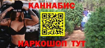 МДПВ Гагарин