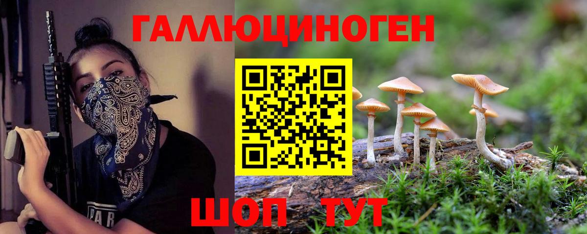 Псилоцибиновые грибы Psilocybine cubensis Кулебаки