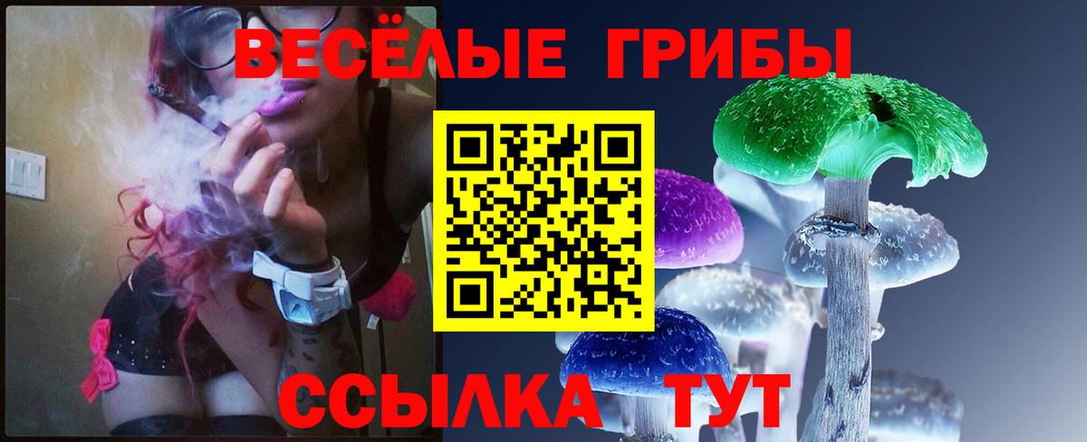Галлюциногенные грибы Magic Shrooms  Вход с VPN  Кулебаки 